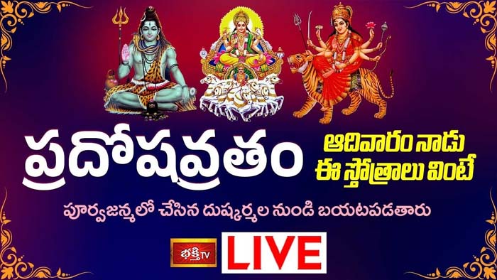 Pradosha Vratham: ఈ స్తోత్రాలు వింటే పూర్వజన్మలో చేసిన దుష్కర్మల నుండి బయటపడతారు