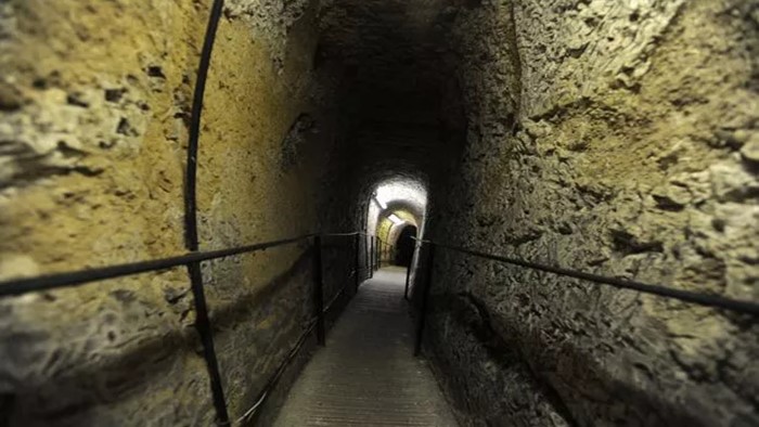 Secret Cave: బయటపడ్డ రెండు శతాబ్దాల నాటి నేలమాళిగ.. అందులో ఏముందంటే?