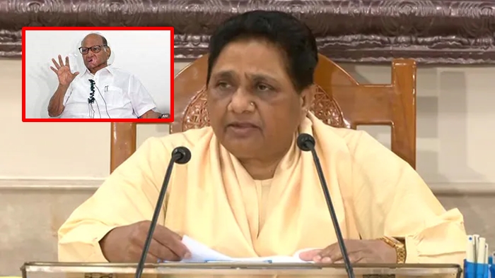Sharad Pawar: మాయవతి ఏ వైపు ఉందో క్లారిటీ లేదు.. బీజేపీతో పొత్తు పెట్టుకున్నారా?
