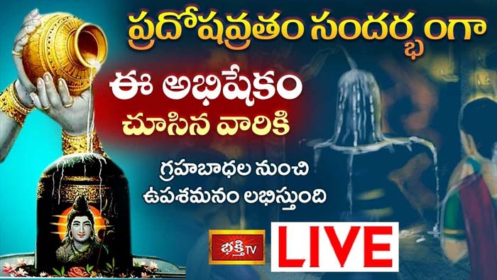 Shiva Abhishekam: గ్రహబాధల నుంచి ఉపశమనం కలగాలంటే ఈ అభిషేకం వీక్షించండి