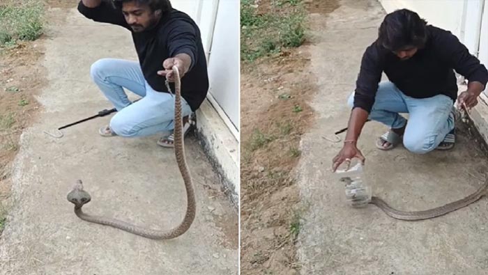 Viral Video: భయం లేదా భయ్యా.. అలా పట్టుకున్నావేంటి..!