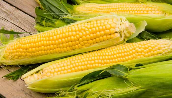 Sweet Corn : స్వీట్ కార్న్ చేసే మేలు తెలిస్తే.. అసలు వదలరు..!