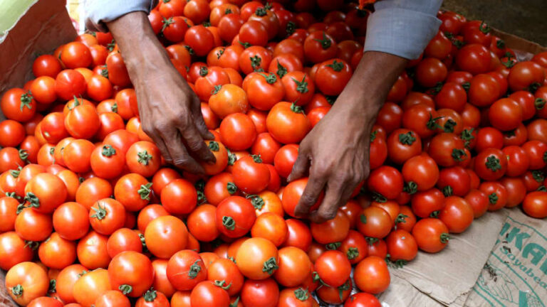 Tomato price: టమోటా ధర ఢమాల్.. అక్కడ కిలో టమోటా రూ.30..