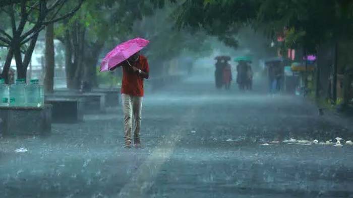 Telangana Rains