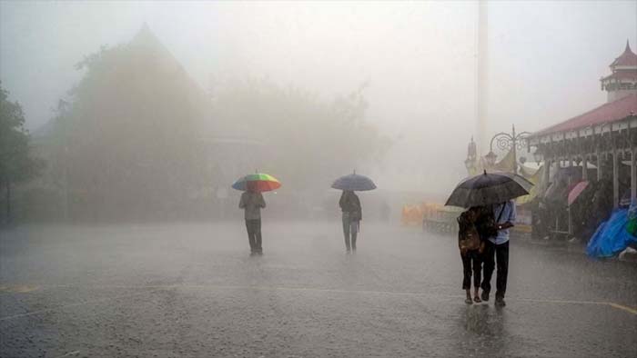 Telangana Rains