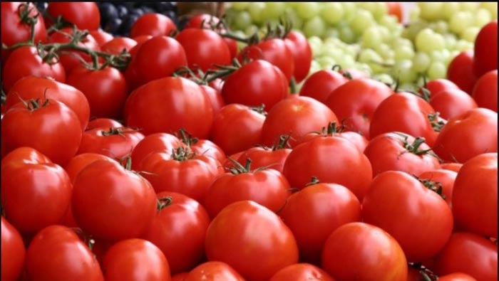 Tomato: క్వింటాళ్ల కొద్దీ టమోటాలు లూఠీ.. పోలీసులు వచ్చేసరికి ఖాళీ