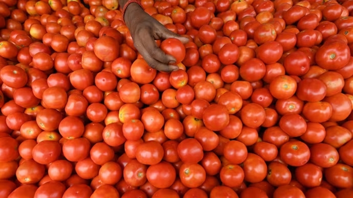 Tomato Price