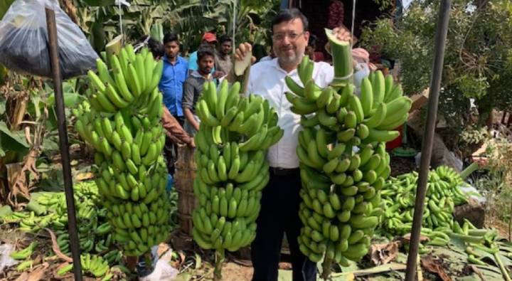 Banana Farming: స్విట్జర్లాండ్‌లో ఉద్యోగం వదిలేశాడు.. అరటి సాగుతో రూ.100కోట్లు సంపాదించాడు