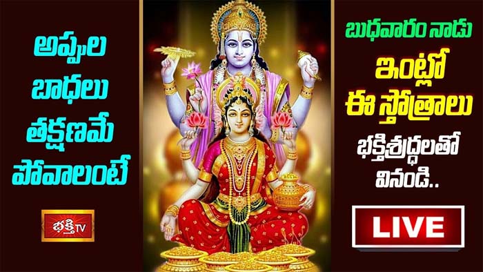 Vishnu Stotram: అప్పుల బాధలు తక్షణమే పోవాలంటే ఇంట్లో ఈ స్తోత్రాలు వినండి