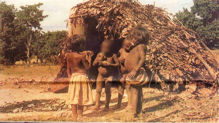 Birhor Community: చెల్లెలికి అమ్మగా మారిన ఐదేళ్ల బాలిక.. ఈ అడవి బిడ్డల దీనగాథ కంటతడి పెట్టిస్తోంది!