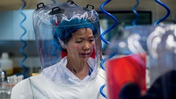 China Bat Woman: కరోనా లాంటి మరో ప్రాణాంతక మహమ్మారి.. చైనా బ్యాట్ ఉమన్ హెచ్చరిక