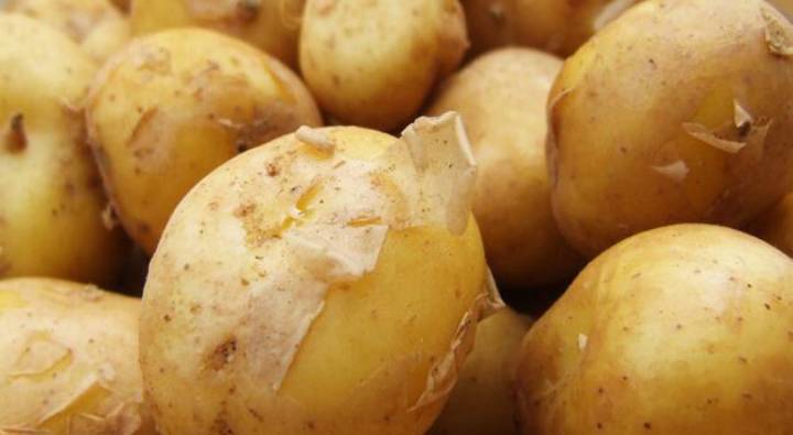 Potato: దీని దుంపతెగ.. కేజీ ఆలుగడ్డ రూ.90,000వేలా..!