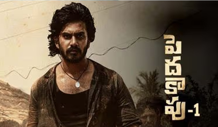 Peddha Kapu: సలార్ లేడని పెదకాపు వస్తున్నాడు!