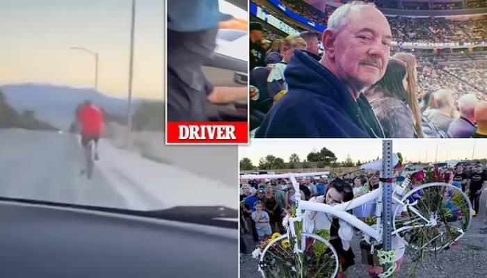 Shocking Video: ఛీ.. వీళ్లసలు మనుషులేనా.. కారు దొంగిలించి పోతూ కావాలని సైకిలిస్టును ఢీకొట్టారు