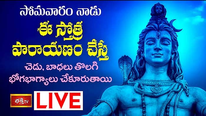 Sri Shiva Stotra Parayanam: సోమవారం నాడు ఈ స్తోత్ర పారాయణం చేస్తే భోగభాగ్యాలు మీ సొంతం