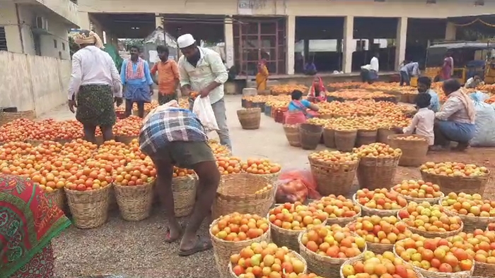 Tomato Price