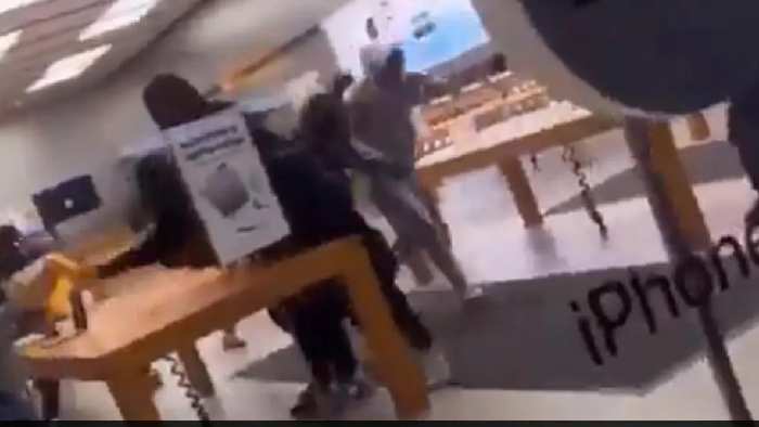 USA: “ఫ్లాష్ మాబ్” తరహాలో యాపిల్ స్టోర్‌ని కొల్లగొట్టారు.. వీడియో వైరల్..