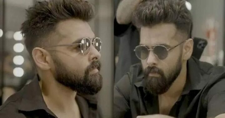 Double Ismart : డబల్ ఇస్మార్ట్ హిందీ రైట్స్ కు భారీ డిమాండ్..?