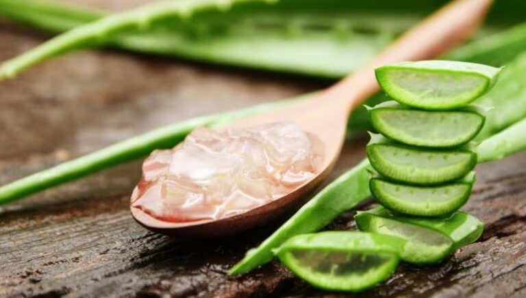 Health Tips : ఆ సమస్యలకు కలబందతో చెక్.. ఇలా వాడితే ఇక డాక్టర్ అవసరం ఉండదు..