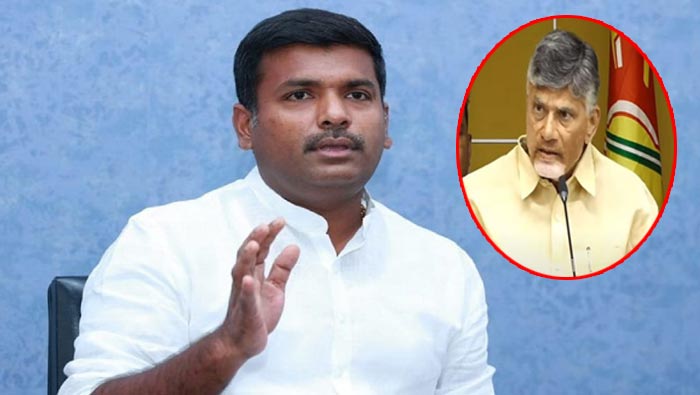 Minister Amarnath: అవినీతికి ప్యాంట్ షర్ట్ వేస్తే చంద్రబాబు…