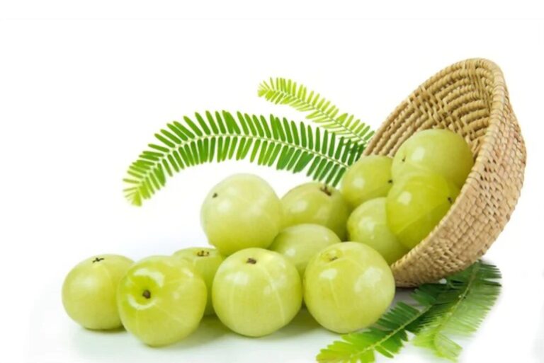 Amla Benefits: ఖాళీ కడుపుతో ఉసిరికాయ తింటే రోగాలు మటుమాయం..!