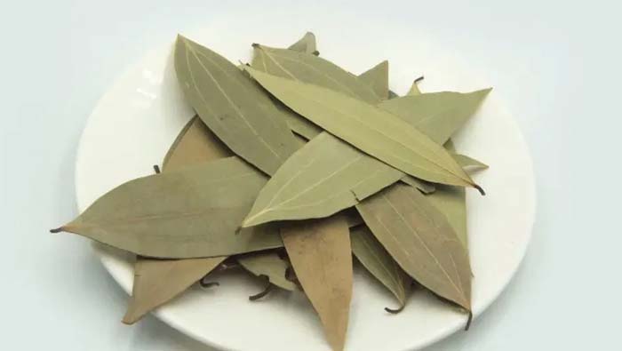 Bay Leaf