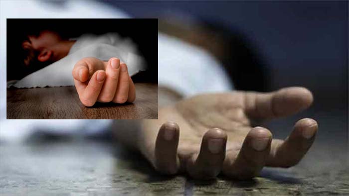 Unexpected: కరీంనగర్‌లో విషాదం.. అన్న మృతిని తట్టుకలేక ఆగిన చెల్లి గుండె