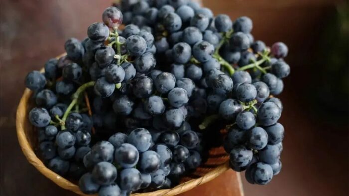 Black Grapes : నల్లని ద్రాక్షాలను తింటున్నారా? ఇవి తప్పక తెలుసుకోవాలి..