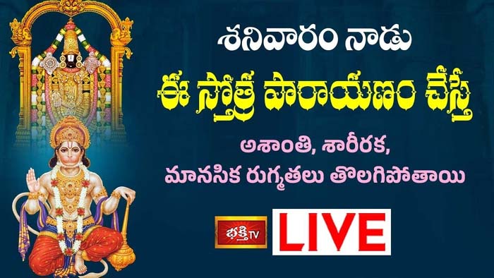Hanuman Stotram: ఈ స్తోత్ర పారాయణం చేస్తే మానసిక రుగ్మతలు తొలగిపోతాయి