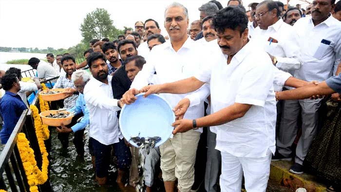 Harish Rao Talasani