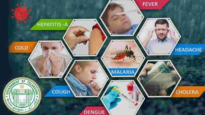 Health Department: రాష్ట్రంలో సీజనల్‌ వ్యాధులపై వైద్యారోగ్య శాఖ సమీక్ష
