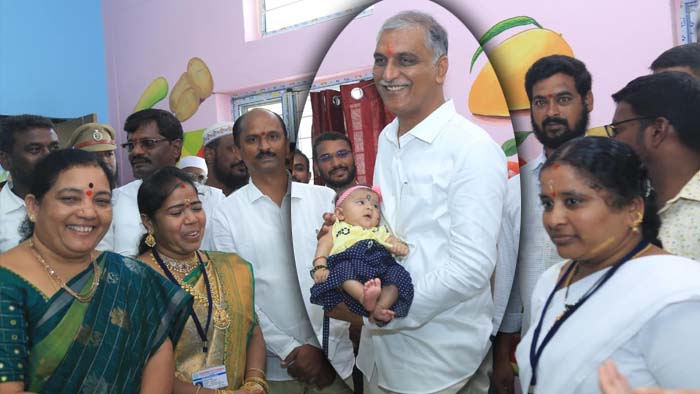 Minister Harish Rao