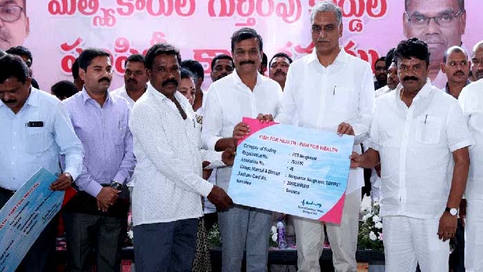 Minister Harish Rao