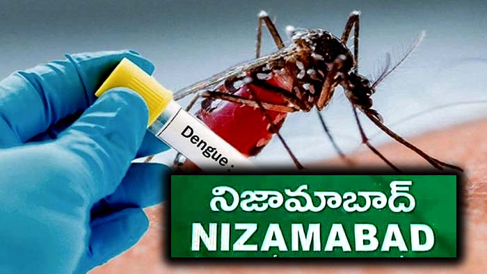 Dengue Fever: నిజమాబాద్‌లో డెంగ్యూ డేంజర్ బెల్స్.. నెలలో 192 కేసులు