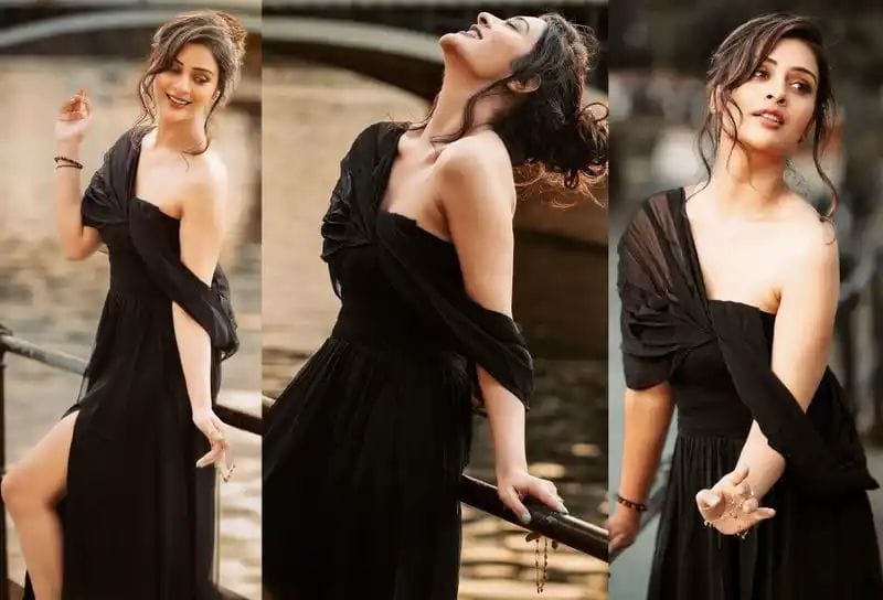 Payal Rajput : బ్లాక్ డ్రెస్సులో గ్లామర్ తో టెంప్ట్ చేస్తున్న హాట్ బ్యూటీ..