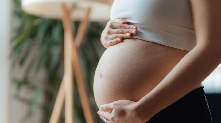 Himachalpradesh : మహిళా కుక్ లకు ఆరు నెలల ప్రసూతి సెలవులు మంజూరు చేసిన ప్రభుత్వం