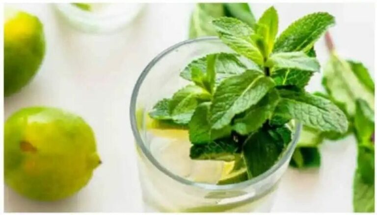 Health Tips : పుదీనాతో పుట్టెడు లాభాలు.. రోజుకు రెండు ఆకులు తింటే చాలు..