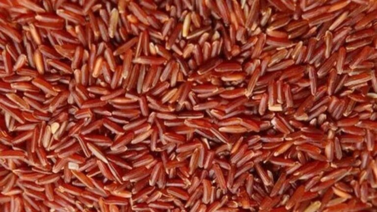 Red Rice Benefits: రెడ్ రైస్ ను రోజూ ఒక కప్పు తీసుకుంటే ఎన్ని ప్రయోజనాలో.. ఆ సమస్యలకు చెక్..
