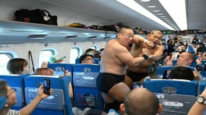 Viral Video : వార్నీ.. ఇదేం పిచ్చిరా నాయనా.. రైళ్లో పొట్టు పొట్టు కొట్టుకున్న రెజ్లర్లు..