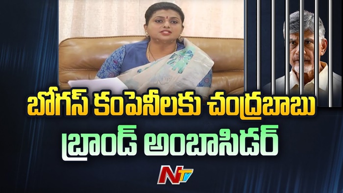 RK Roja: పక్కా ఆధారాలున్నాయ్‌.. చాలా స్కిల్డ్‌గా స్కిల్‌ డెవలప్‌మెంట్‌ స్కామ్‌ చేశారు..