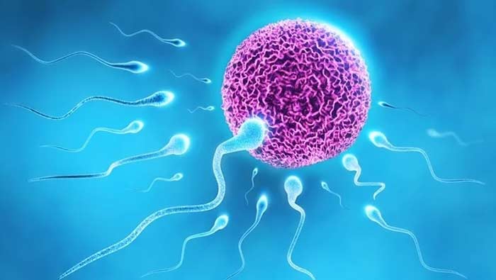 Sperm Count : మగవాళ్లు సంతానోత్పత్తి కోసం చిట్కాలు..