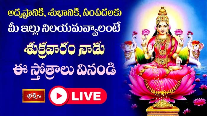 Sri Lakshmi Stotram: సిరి సంపదలతో మీ ఇల్లు నిలయమవ్వాలంటే ఈ స్తోత్రాలు వినండి