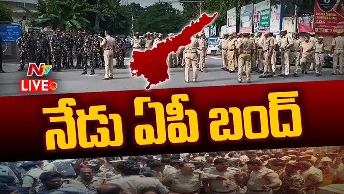 TDP: ఏపీ బంద్‌కు పిలుపునిచ్చిన టీడీపీ.. జనసేన మద్దతు