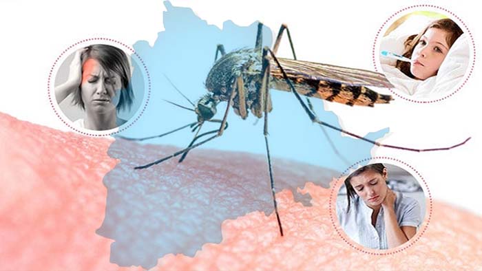 Telangana: విజృంభిస్తున్న డెంగ్యూ, మలేరియా జ్వరాలు.. పదుల సంఖ్యలో మరణాలు