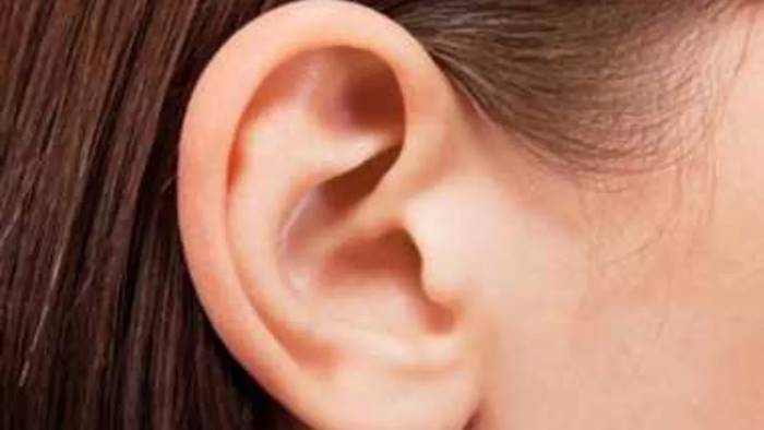 Ear Print