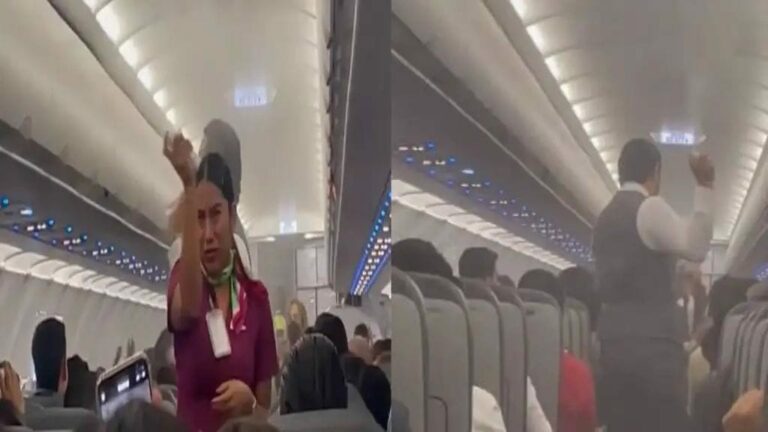 Viral Video : విమానాన్ని చుట్టుముట్టిన దోమల దండు.. ఎక్కడంటే?