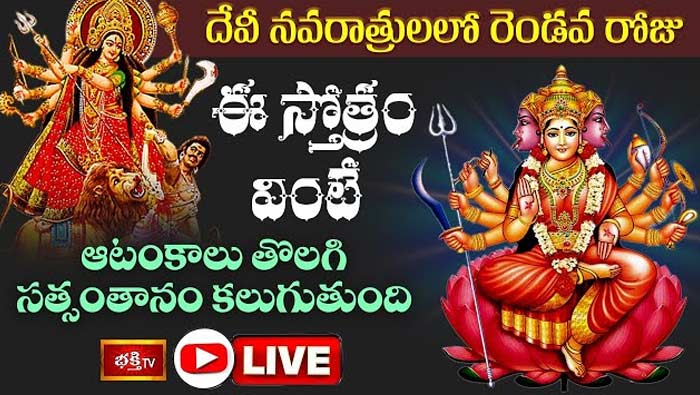 Mahishasura Mardini Stotram: దేవీ నవరాత్రులలో రెండో రోజు ఈ స్తోత్రం వింటే ఆటంకాలు తొలగి సత్సంతానం కలుగుతుంది