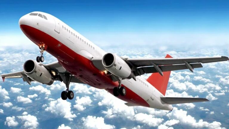 Telangana News: విమానం ఎక్కుతుండగా గుండెపోటు.. సర్పంచి భార్య మృతి!