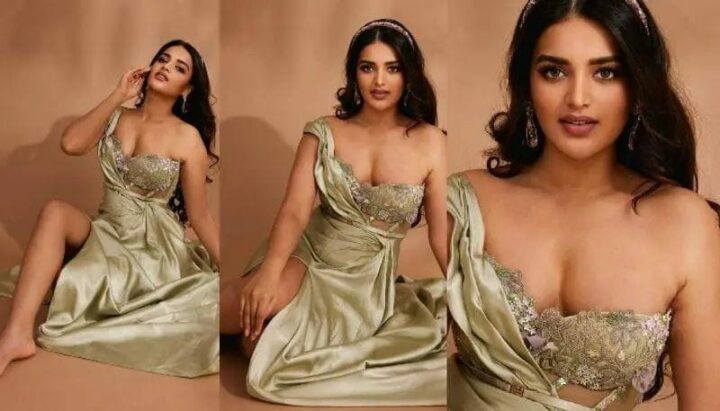 Nidhi Agarwal : బ్లాస్టింగ్ పోజులతో రెచ్చగొడుతున్న నిధి అగర్వాల్…