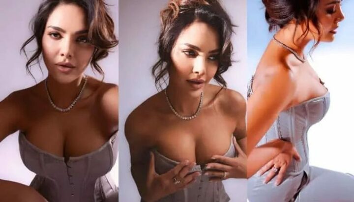 Esha Gupta : ఘాటైనా అందాలతో రెచ్చగొడుతున్న హాట్ బ్యూటీ..